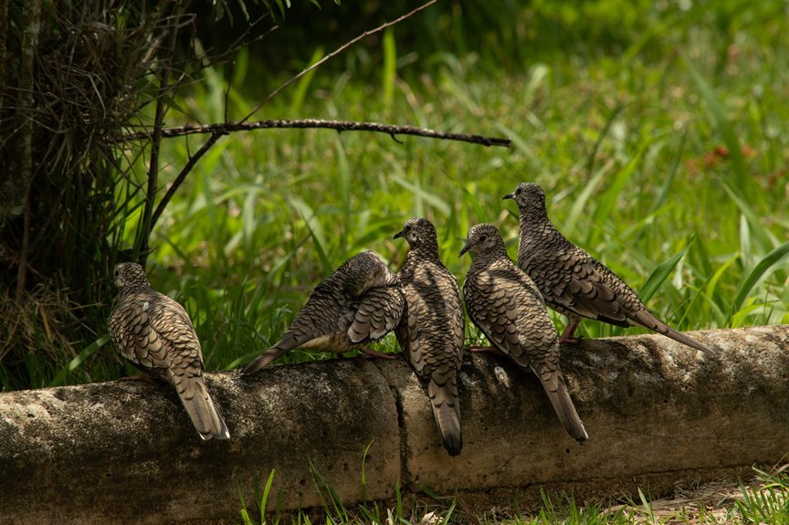 identifier integrity log summary