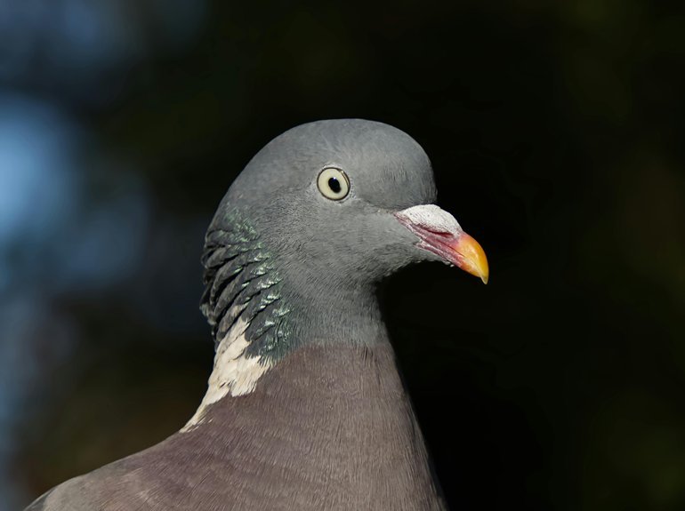 contact details guide provided